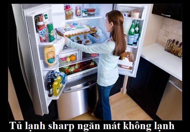 Tủ lạnh sharp ngăn mát không lạnh