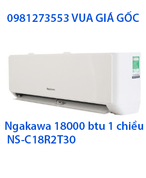 Điều hoà nagakawa 18000 btu 1 chiều NS-C18R2T30 (1)